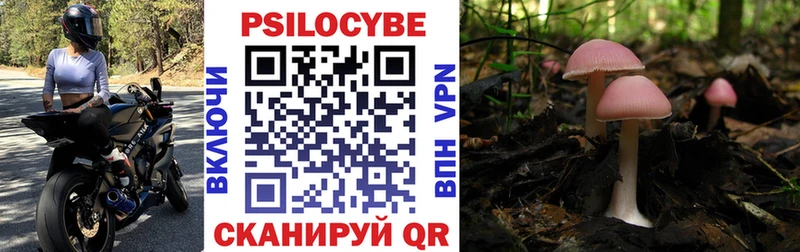Псилоцибиновые грибы Psilocybe  Мыски 
