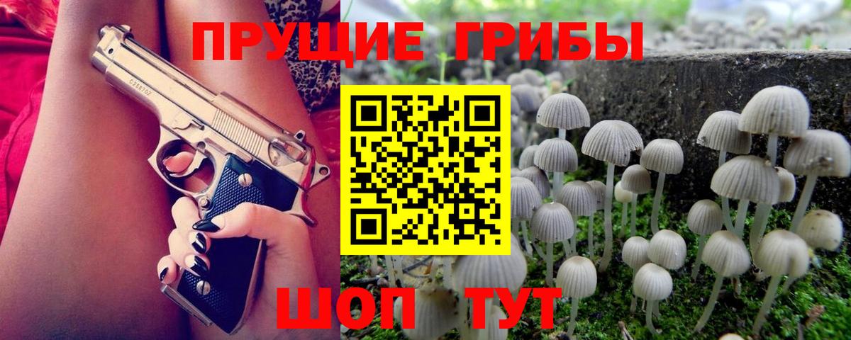Мыски  Галлюциногенные грибы прущие грибы  Вход с VPN 